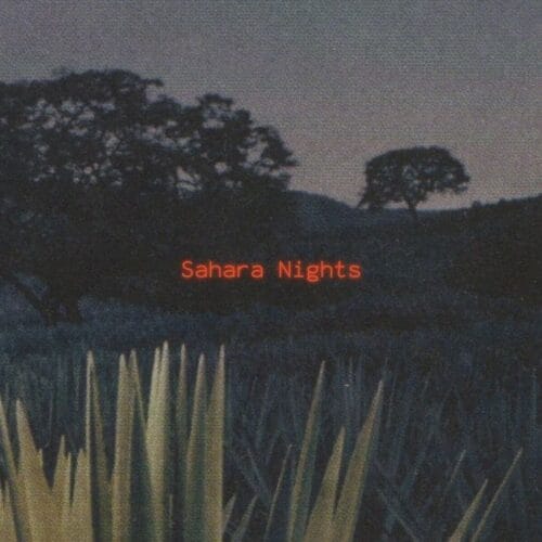 Sahara Nights Sahara Nights